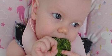 358004831_982184069689276_2804255446093737600_n baby college baby eating brocolli