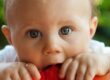 baby with watermelon