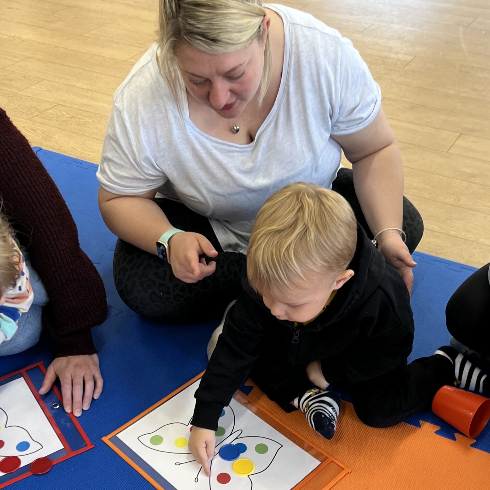 Nanny and male toddler doing butterfly colour match activity together