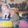milestones at baby college