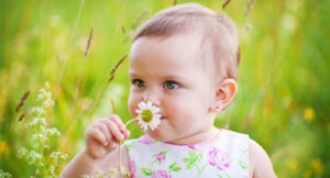 baby smelling a flower sensory